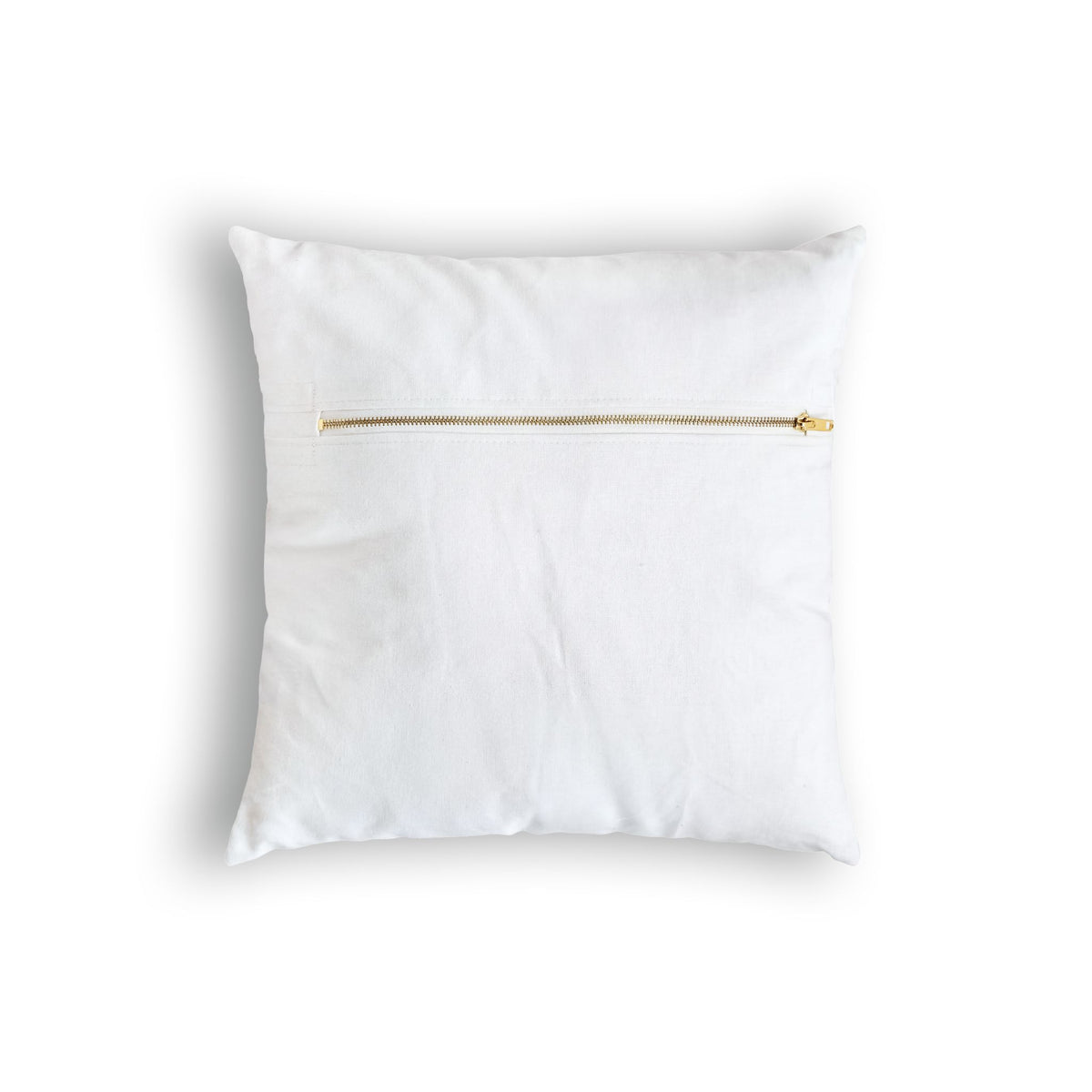 Glam Girl Money Pillow — Poly Velvet Decorative Throw Pillow with Champagne & Cash Design